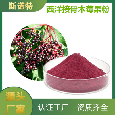 西洋接骨木果粉 膨化食品中的“養生新貴”